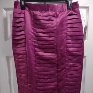Worthington's Pleated Knee Length Skirt Ultraviolet Sz 4